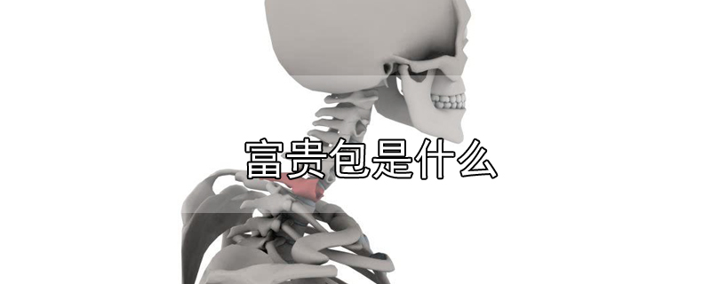 富贵包是什么
